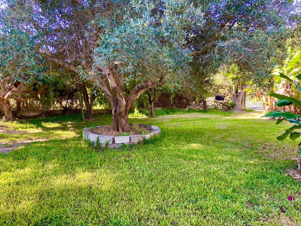 Cottage House,With Big Garden & Lawn Amaliada Экстерьер фото